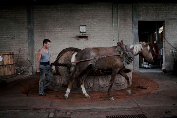 A worker uses a horse-pulled grinding stone