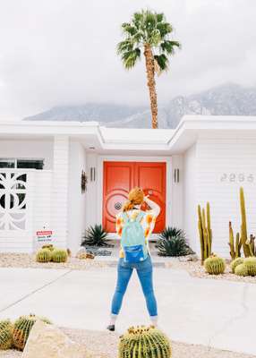 Palm Springs Door Tour