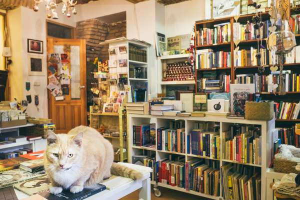 Knygynas Keistoteka bookshop