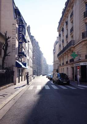 A well-groomed boulevard in the 16th arrondissement