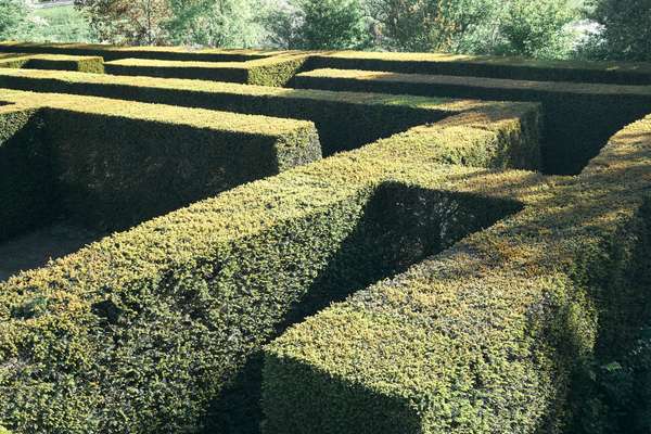 Hedge-walled maze at Amstelpark