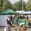 Market at Helvetiaplatz, which is held every Tuesday and Friday