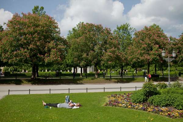 The Hofgarten 