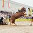 A test of strength: horse vs Schwingen champions