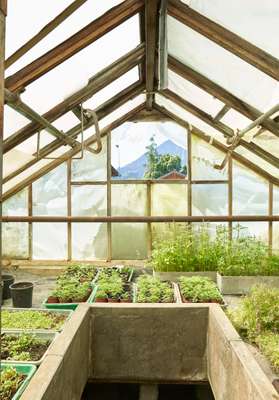 Herb-filled greenhouse 