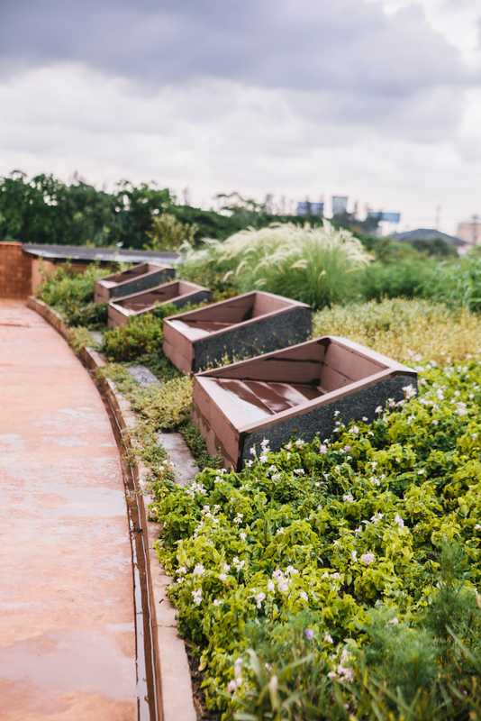 Rooftop garden and viewing park