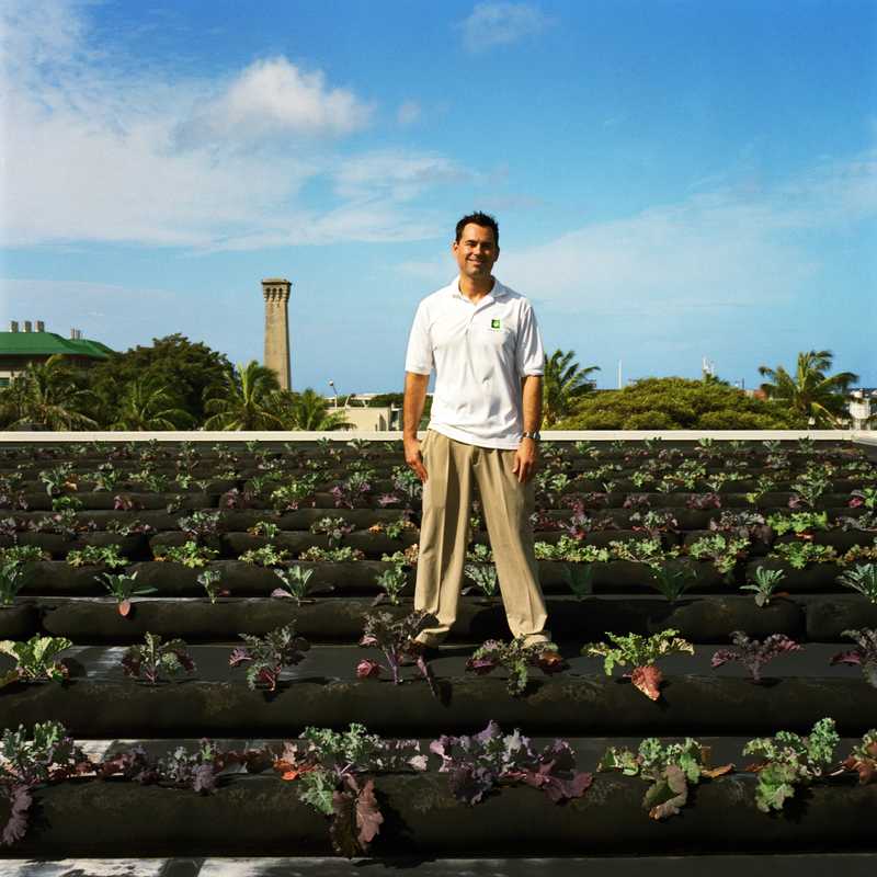 Hawaii farming