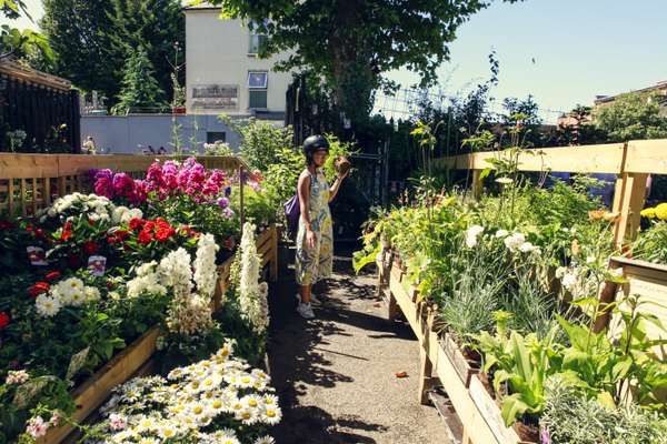 The Nunhead Gardener, London