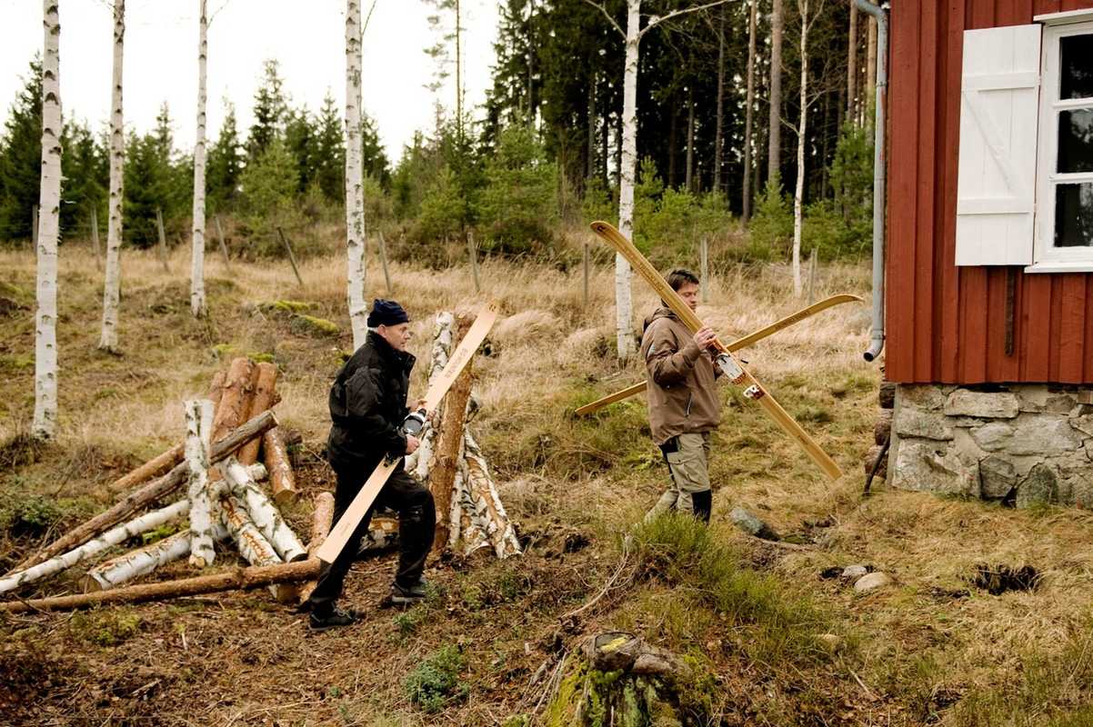 Wood used in a Rønning ski comes directly from the local forests