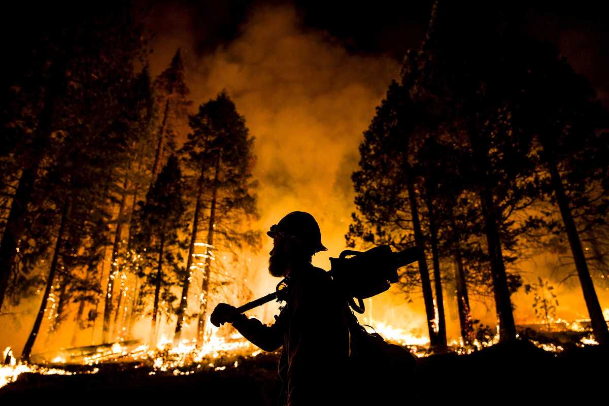 August 2015: firefighter watching a controlled burn in Sequoia National Forest
