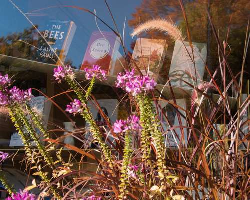 Window display