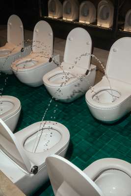 Laufen toilets