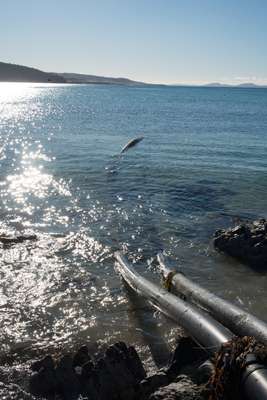 Pipes bringing water from the Tasman Sea