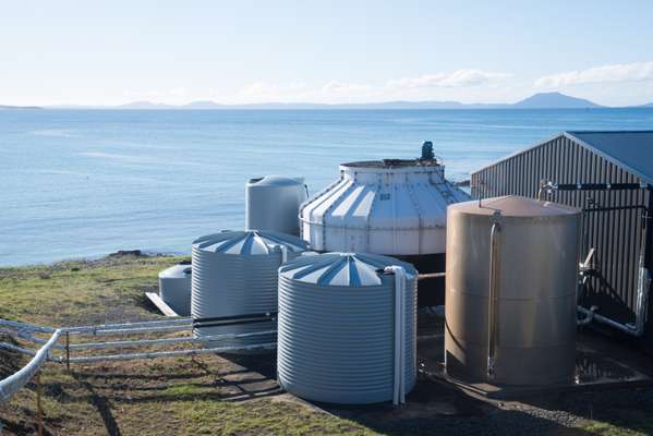 Tasman Sea Salt’s evaporator tanks 
