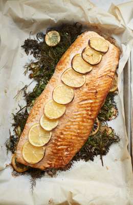 Salmon to be served with soured cream 