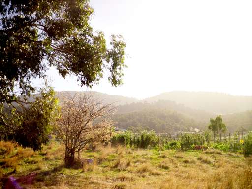 The Agrarian Kitchen