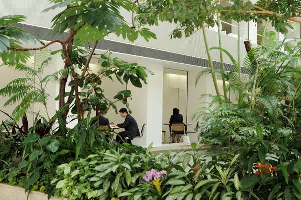 Kajima staff hold meetings in the atrium