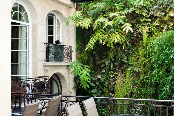 The vertical garden extends to the first floor