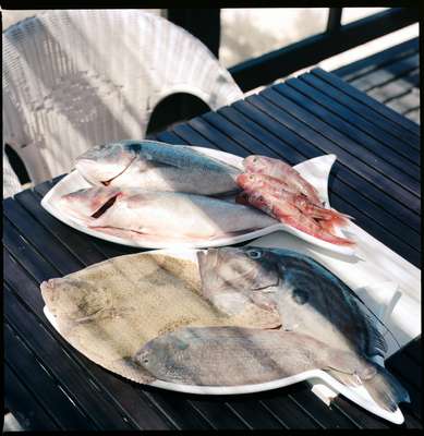Fresh fish is part of the staple diet