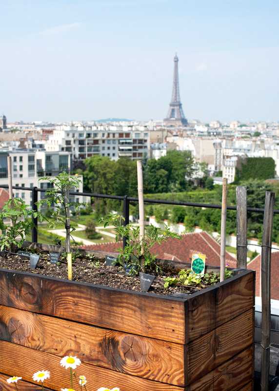 The rooftop garden of the Le Bon Marché Rive Gauche above La Grande Épicerie is reserved for staff 