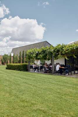 Diners enjoy lunch beneath grape vines 