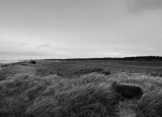 Læsø island