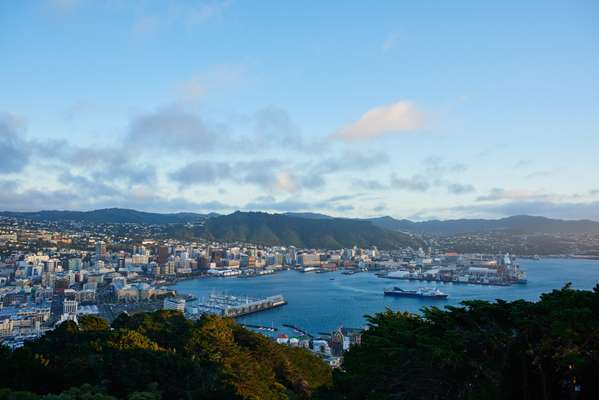 Wellington as viewed from Mount Victoria