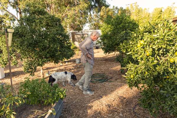 There is a small orchard and garden behind the studio