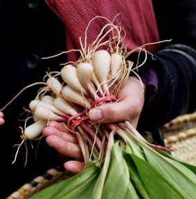 Organic ramps