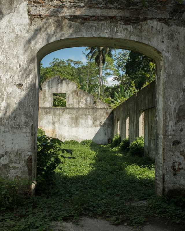 The buildings have been stripped of anything of any worth; the remains have been reclaimed by the jungle
