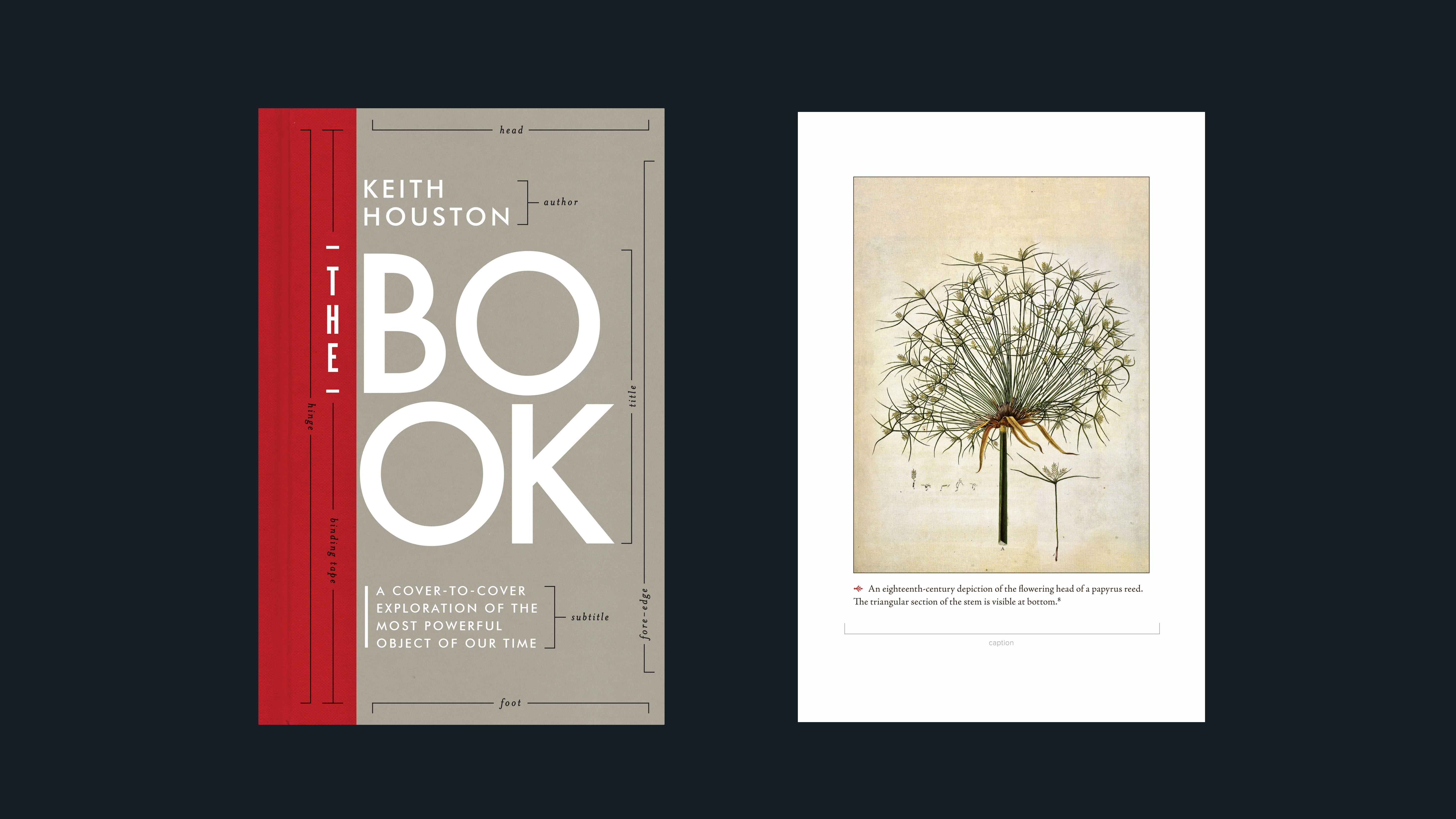 The Book: A Cover-to-Cover Exploration of the Most Powerful Object of Our  Time