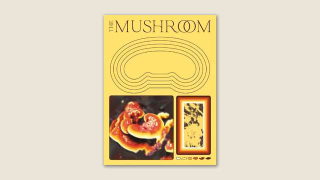 ‘The Mushroom’