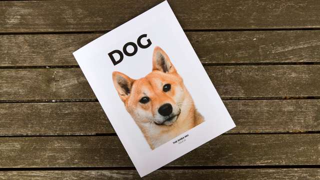  Dog magazine