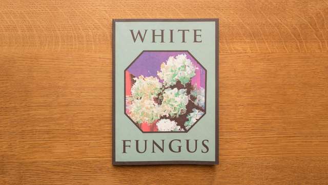 ‘White Fungus’