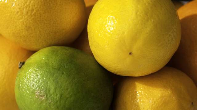 Saving citrus fruits