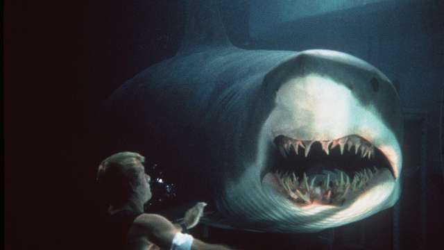 An ode to shark movies