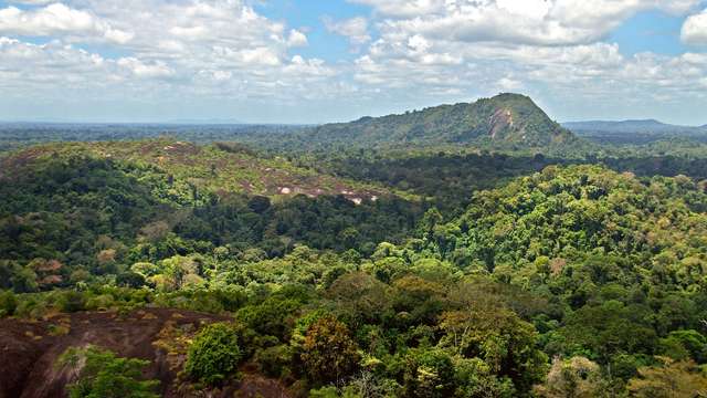 Amazonian chocolate 