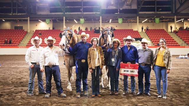 Calgary Stampede