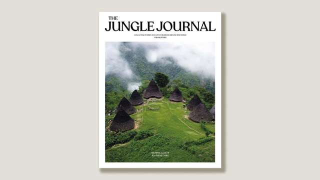 Sara Elisa Lopez, ‘The Jungle Journal’