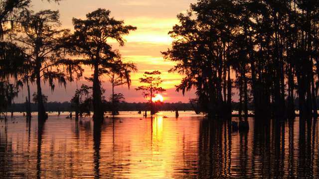 The sound of Louisiana’s Atchafalaya Basin