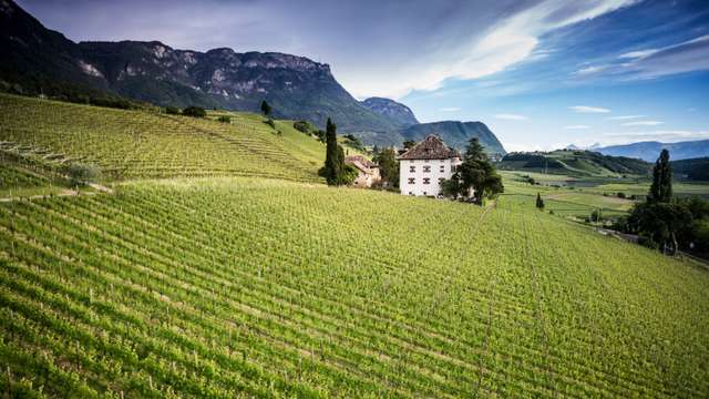 The next generation of South Tyrol’s wine business