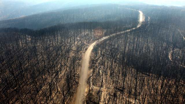 Natural crisis part 2: bushfires
