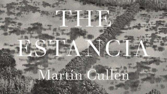 Weekend read: Martín Cullen