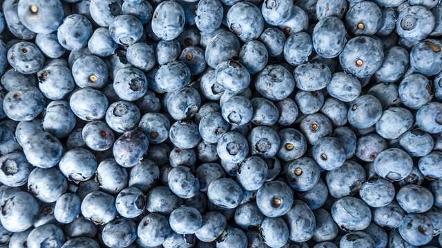 Serbian blueberries