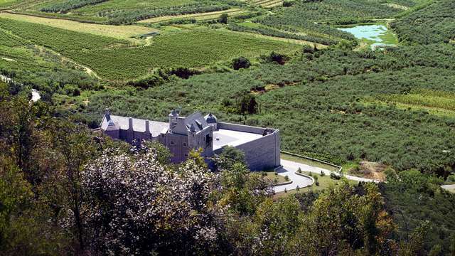 Top wine from China