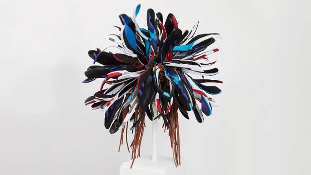 Brian Jungen