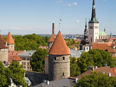 Food Neighbourhoods #377: Tallinn Old Town