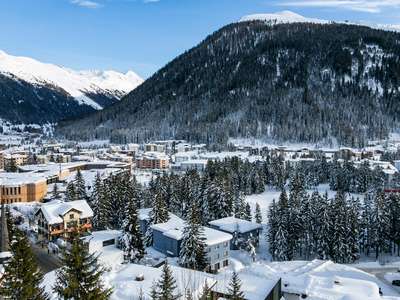 The View From Davos