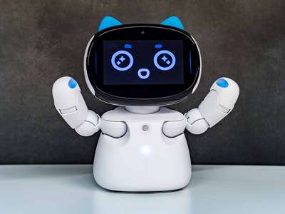 The friendly face of robotics